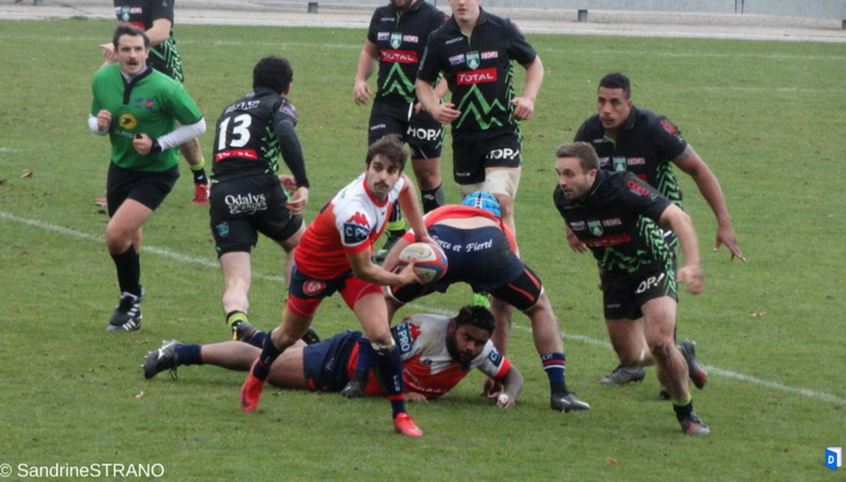 Grenoble espoirs Pau