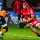 Champions Cup - Toulouse l'emporte à Montpellier