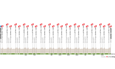 Championnats de France 2020 - Course en ligne hommes - Le profil de la course