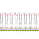 Championnats de France 2020 - Course en ligne hommes - Le profil de la course