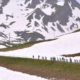 Critérium du Dauphiné 2020 - Le profil des étapes
