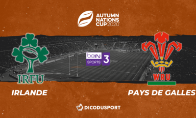 Autumn Nations Cup : Notre pronostic pour Irlande - Pays de Galles