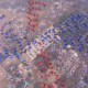 6 février 2004 - 357 parachutistes pour un saut en formation