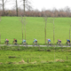 Omloop Het Nieuwsblad 2021 - Le profil de la course