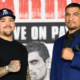 Boxe poids lourds - Le grand retour d'Andy Ruiz Jr