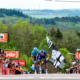 La Flèche Wallonne 2021 - Le profil de la course
