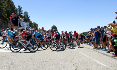 Mont Ventoux Dénivelé Challenge 2021 : le profil de la course