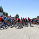 Mont Ventoux Dénivelé Challenge 2021 : le profil de la course