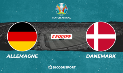 Pronostic Allemagne - Danemark, match amical