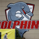 Les Dolphins seront la 17ème équipe de NRL en 2023