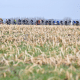 Nokere Koerse 2022 Parcours et profil