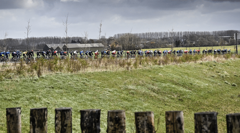 Grand Prix de l'Escaut 2022 Parcours et profil