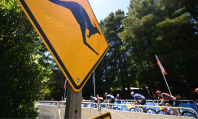 Cadel Evans Road Race 2023 - Parcours et profil