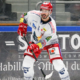 Ligue Magnus L'iconique Christophe Tartari honoré ce vendredi soir par les Brûleurs de Loups