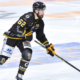 CHL : Les Dragons de Rouen abordent une nouvelle campagne sacrément épicée