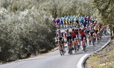 Tour d'Espagne 2023 - Les sélections des équipes