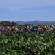 Tour d'Espagne 2023 Parcours et profil de la 9ème étape