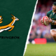 Coupe du monde de rugby - L'Afrique du Sud, prête à remettre son titre en jeu