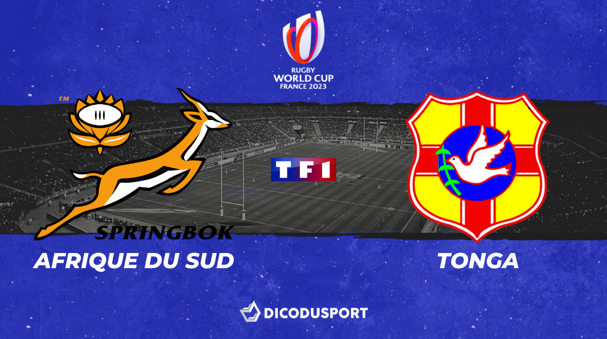 Pronostic Afrique du Sud - Tonga Cotes, analyse et conseil