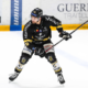 CHL (J6) Les Dragons triomphent à domicile pour leur dernier match européen