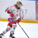 Ligue Magnus : Les Brûleurs de Loups rendent obligatoire le port du protège-cou