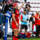 Transferts Rugby Villière, Toulouse, Castres, les infos du vendredi 17 novembre
