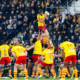 Rugby Perpignan - Lions : Chaîne TV et Heure du match