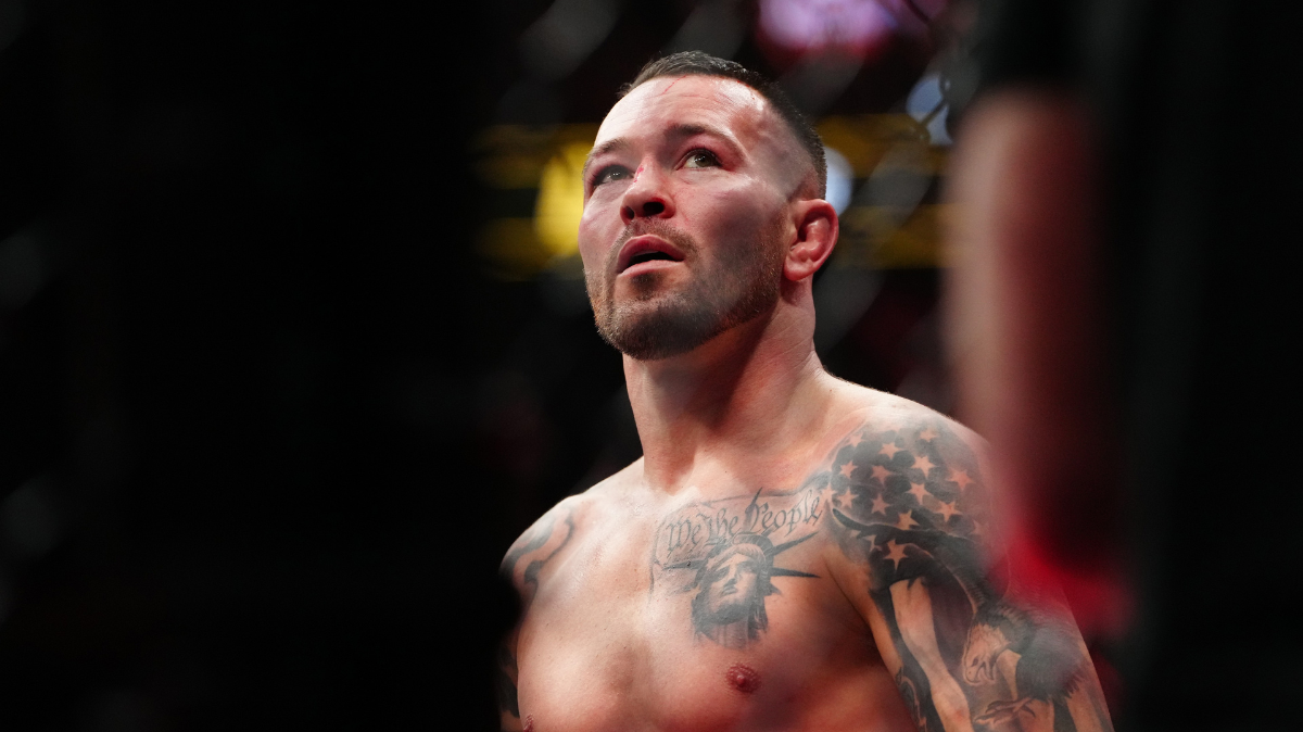 UFC Faut-il mettre des limites au trashtalk