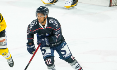 Ligue Magnus Bordeaux, Angers et Marseille victorieux lors de la 36ème journée