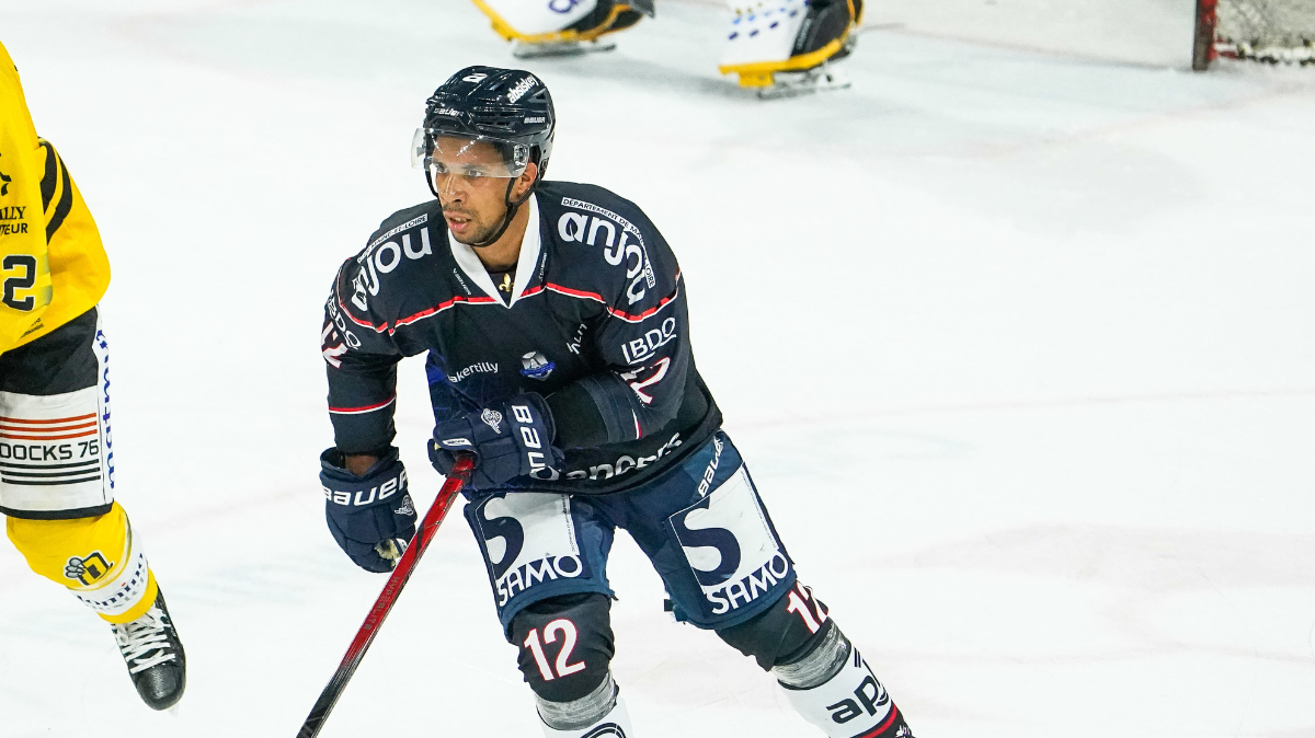 Ligue Magnus Bordeaux, Angers et Marseille victorieux lors de la 36ème journée