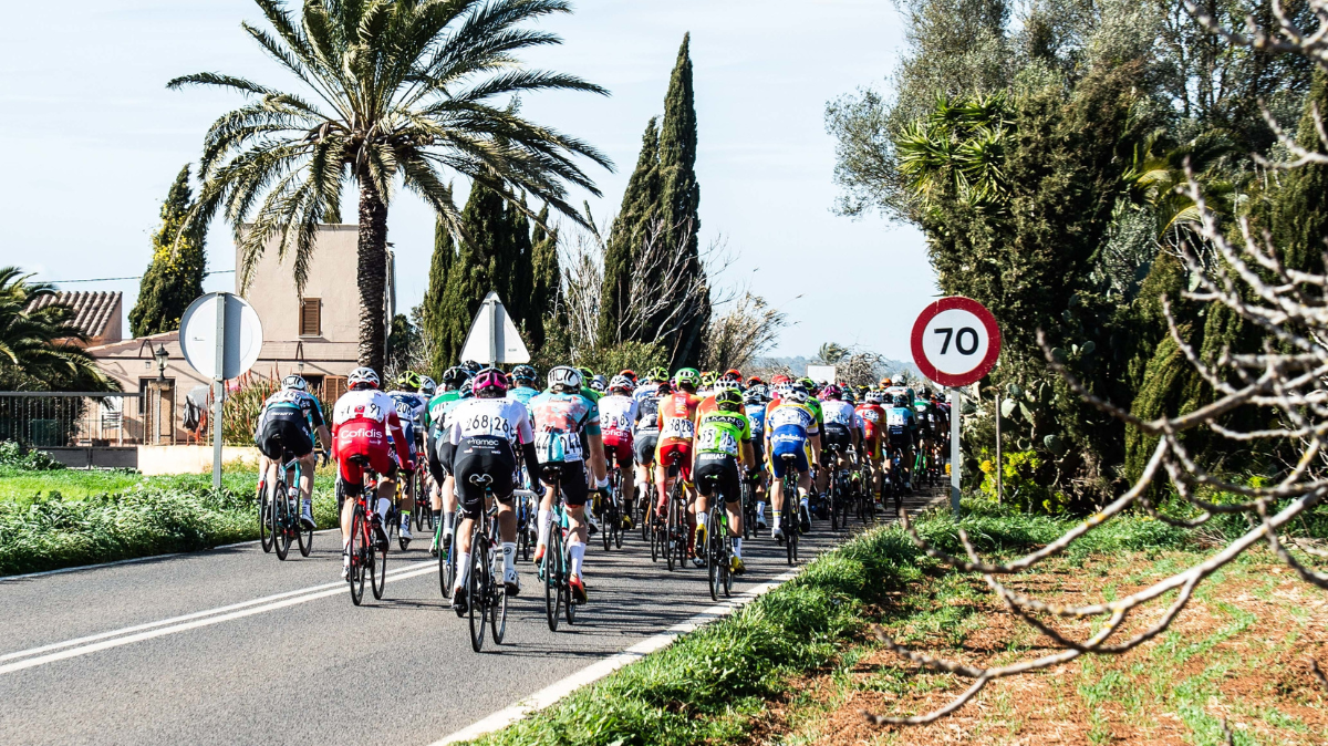 Trofeo Palma 2024 : Parcours complet et profil