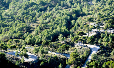 Trofeo Pollença-Port d'Andratx 2024 : Parcours en détail et profil