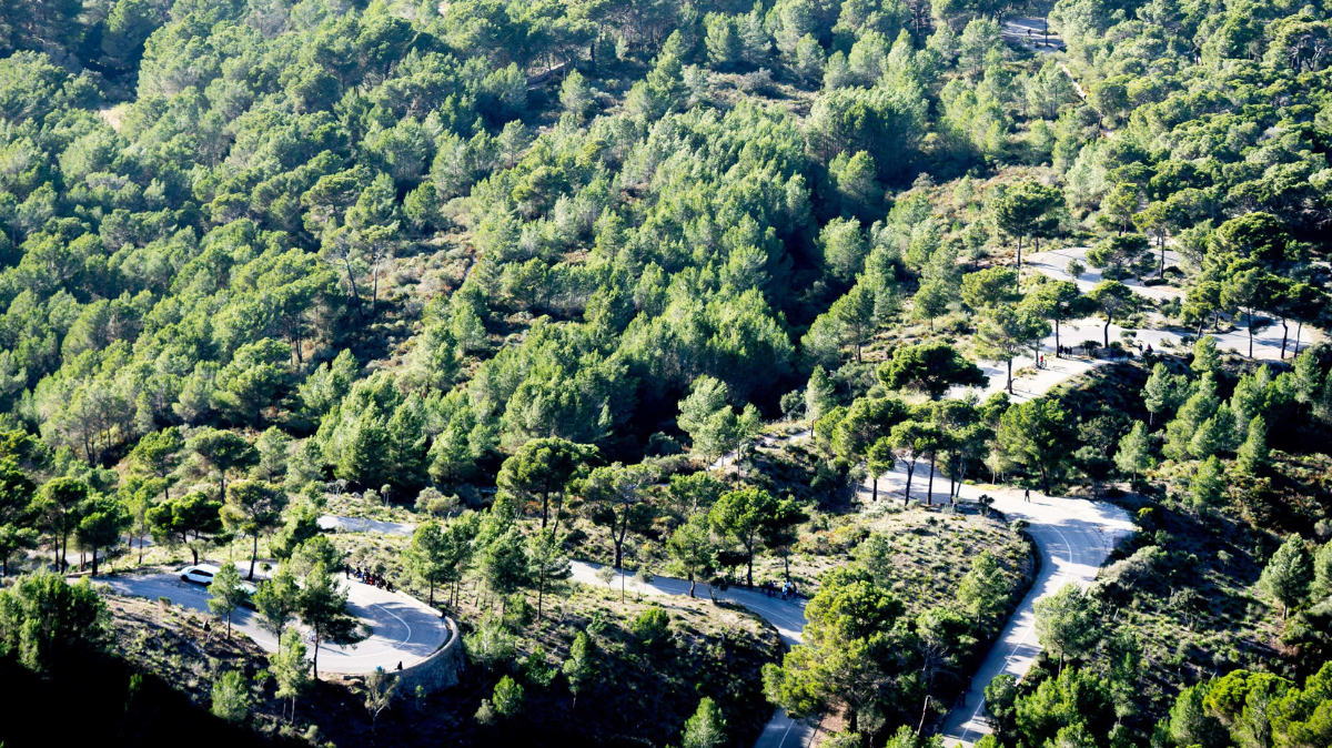 Trofeo Pollença-Port d'Andratx 2024 : Parcours en détail et profil