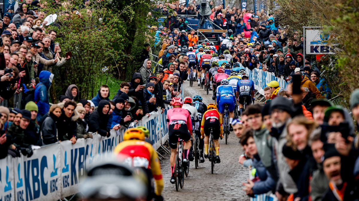 Tour des Flandres 2024 Parcours détaillé et profil du Ronde