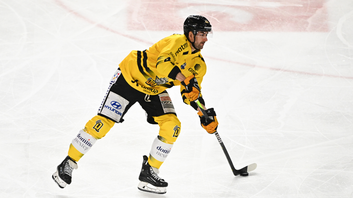 Finale Ligue Magnus
