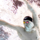 Natation JO 2024 Or et record du monde pour Pan Zhanle sur 100m nage libre, Maxime Grousset 5e