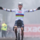 Cyclo-cross Hoogerheide 2025 Mathieu van der Poel écrase la concurrence, Michael Vanthourenhout assure le général