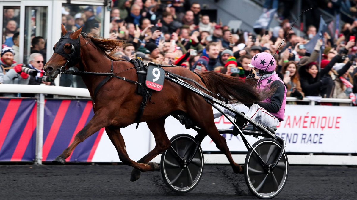 Prix de Belgique 2025 Chaîne TV, heure et engagés
