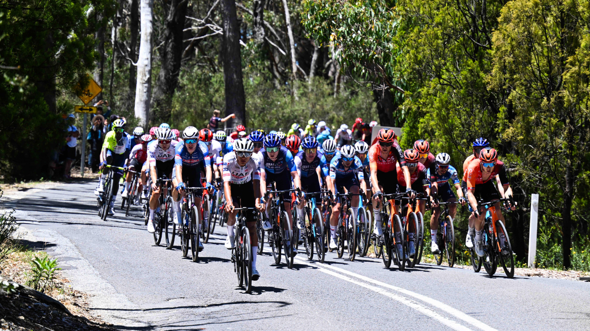 Tour Down Under De la carte postale à l'enjeu du début de saison