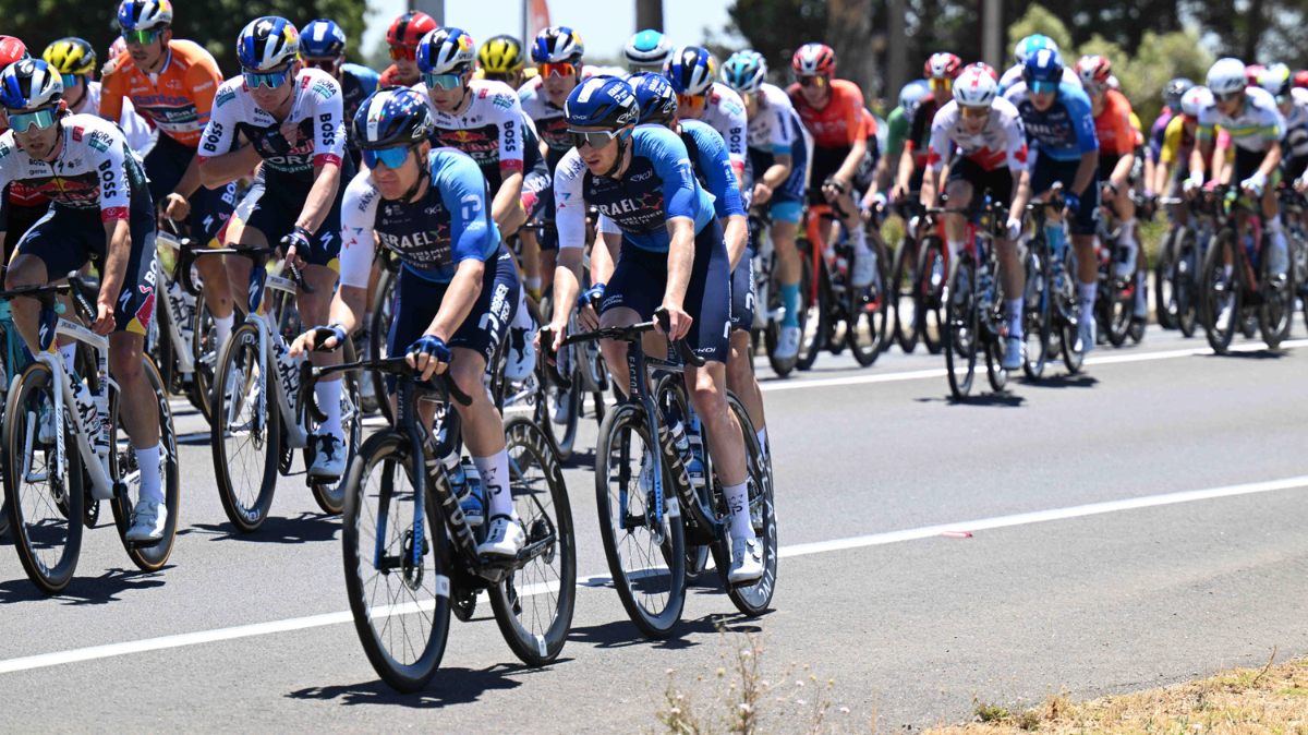 Classement Cadel Evans Road Race 2025