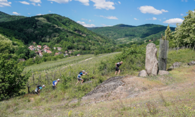 Classement Trail Alsace Grand Est by UTMB 2025 en direct