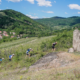 Classement Trail Alsace Grand Est by UTMB 2025 en direct