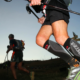Classement Chartreuse Terminorum 2025 en direct