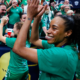 Handball : Deux Bleues dans l'équipe type de Ligue des Champions