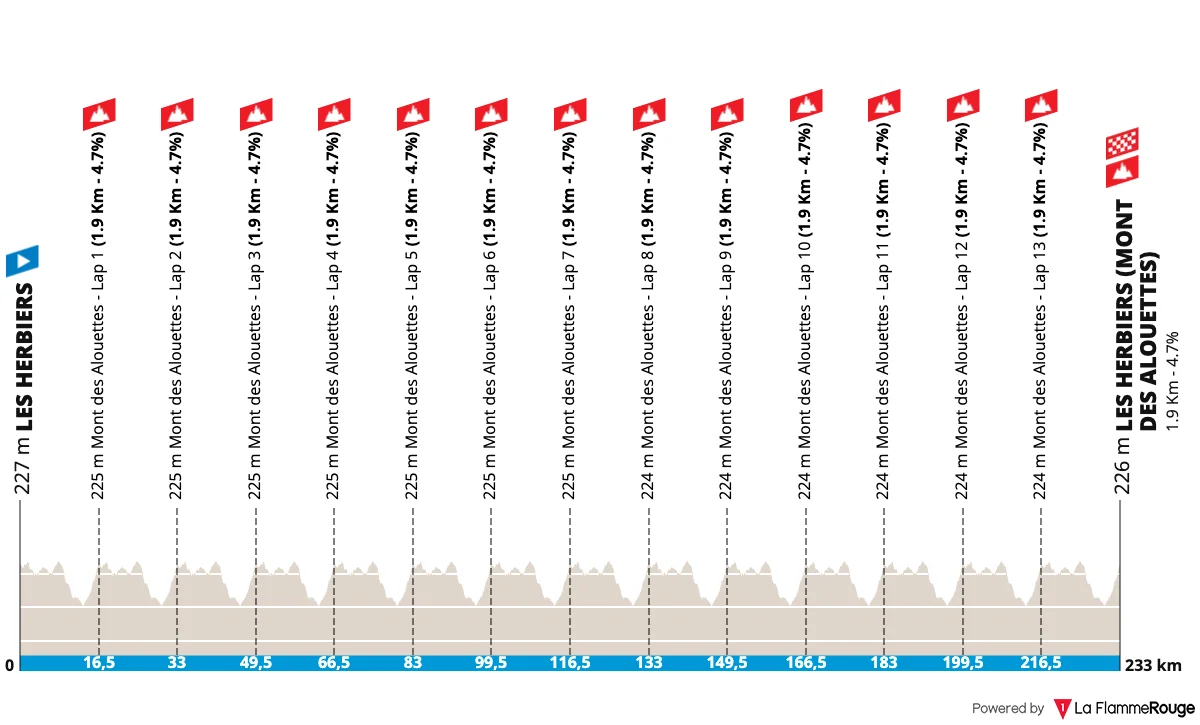 Profil Course en ligne Championnats de France Cyclisme sur route 2025 aux Herbiers