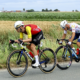 Billet d'humeur Tour de France Tous ces risques pour porter seulement un jour le maillot à pois...