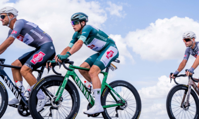 Vidéo Chute spectaculaire de Jasper Philipsen le maillot vert contraint à l’abandon