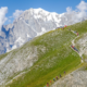 Classement en direct UTMB Mont-Blanc 2025