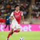 Monaco-Le Havre Compositions, Chaîne TV, Cotes et Heure