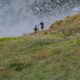 Classement Trail des Dents du Midi 2025 en direct